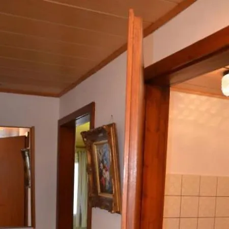 In The Country House At * Titisee-Neustadt